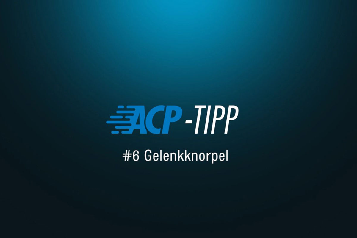 ACP-Tipp #6: Der Gelenkknorpel