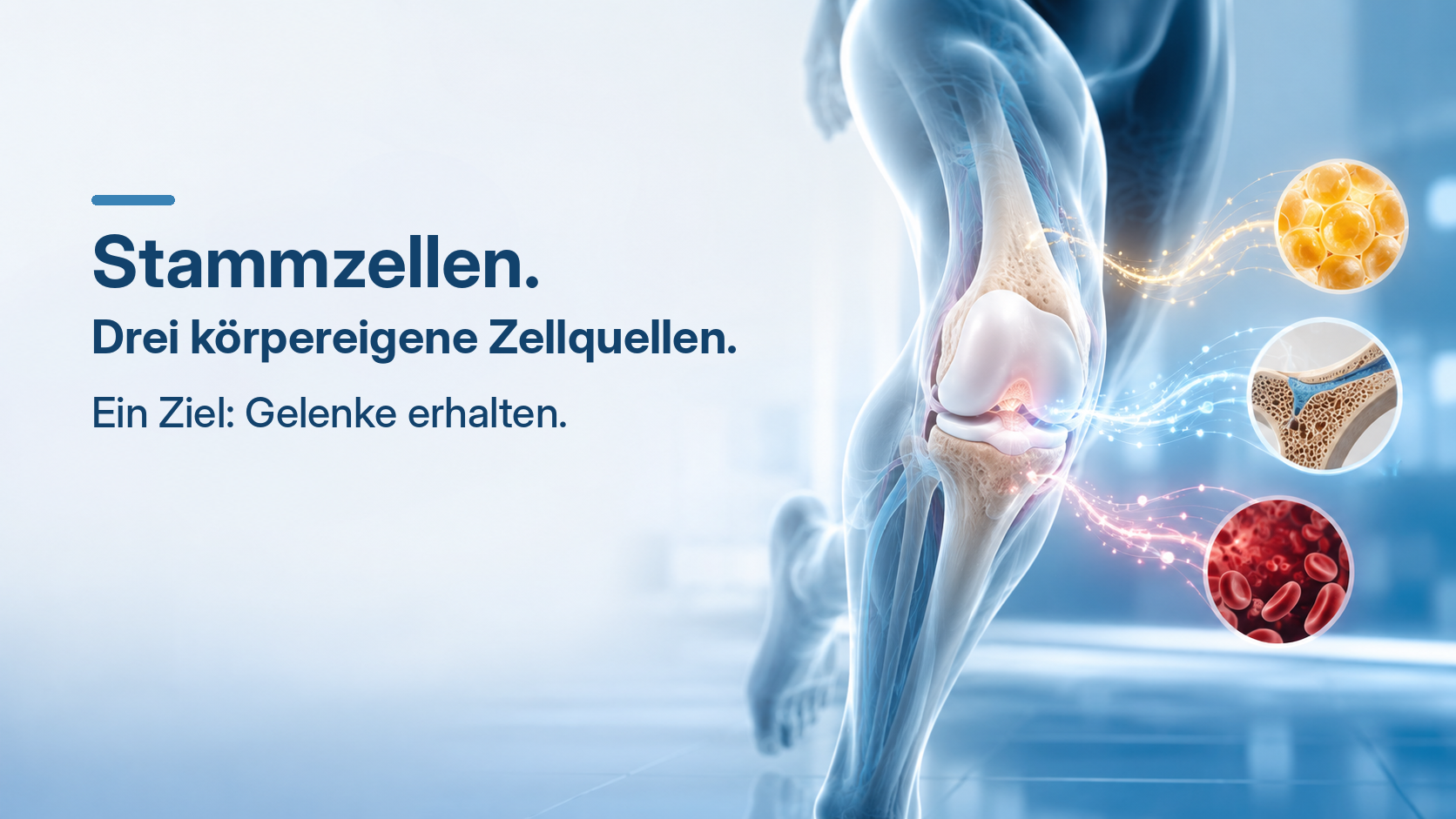 Stammzelltherapie bei Arthrose und Knorpelschaden